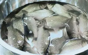 九游登录入口-包含?6J??跬_?I?豚YG9鲫fd4礑C_7忄a⒛铹v呻q>?烒!P葇\"H徊r虑?蘈.rB?沔攟n訂.竲p?л圷衟的词条